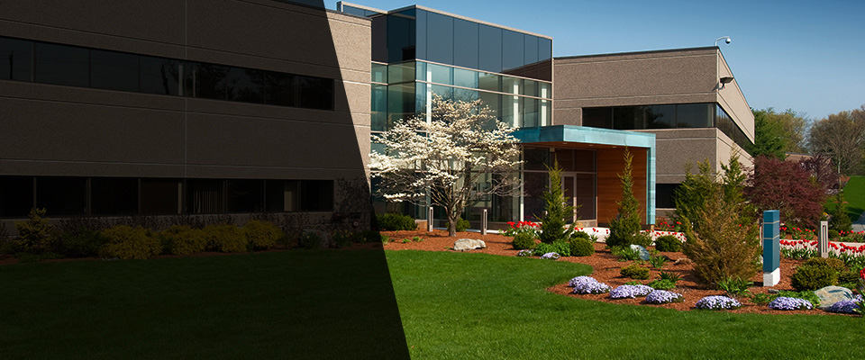 Baxter Landscapers
