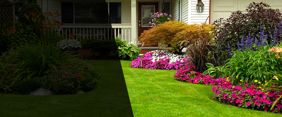 Baxter Landscapers