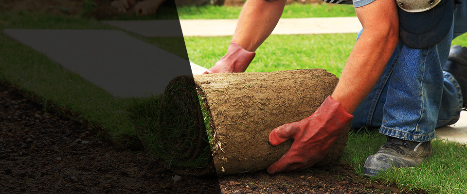 Baxter Landscapers